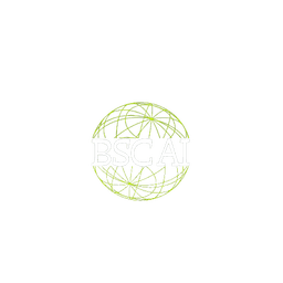BSC AI